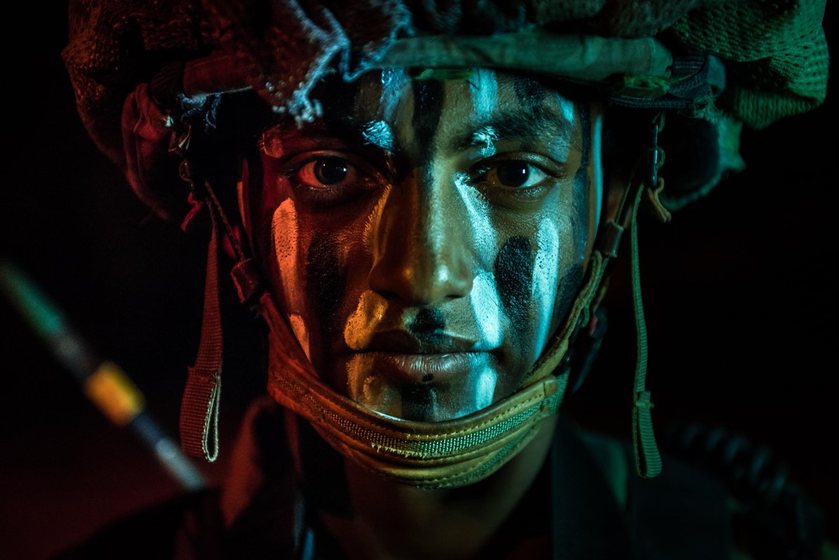 lioness-of-the-jordan-valley-photograph