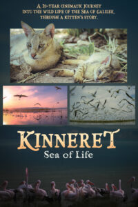 Kinneret Sea of Life TN 4000x6000